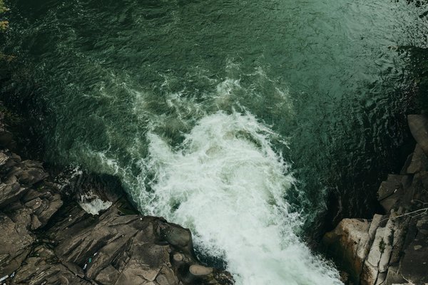 Top 10 des compagnies de croisière : classements et critiques incontournables