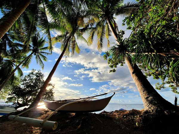 Découvrez les trésors secrets des campings de biarritz : le guide essentiel